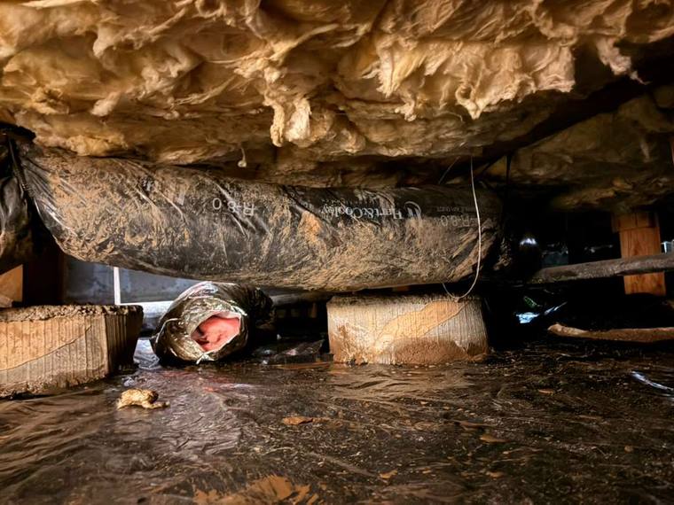 Attic insulation project with blown-in cellulose and ductwork, Forest Fresh Home Solutions.
